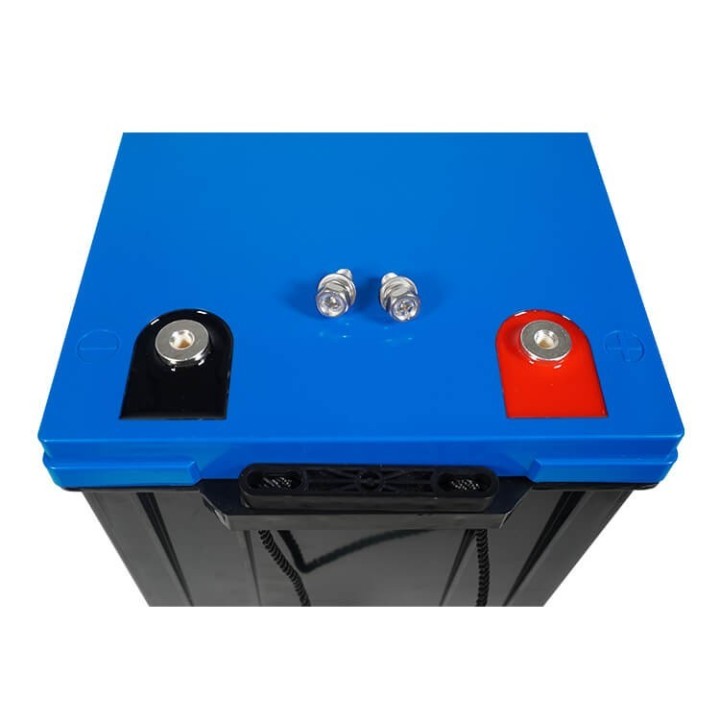 Acumulator LiFePo4 pentru motoare electrice 24V, 100Ah Ultimatron France.